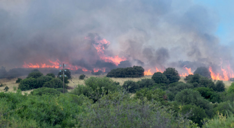 Waldbrand