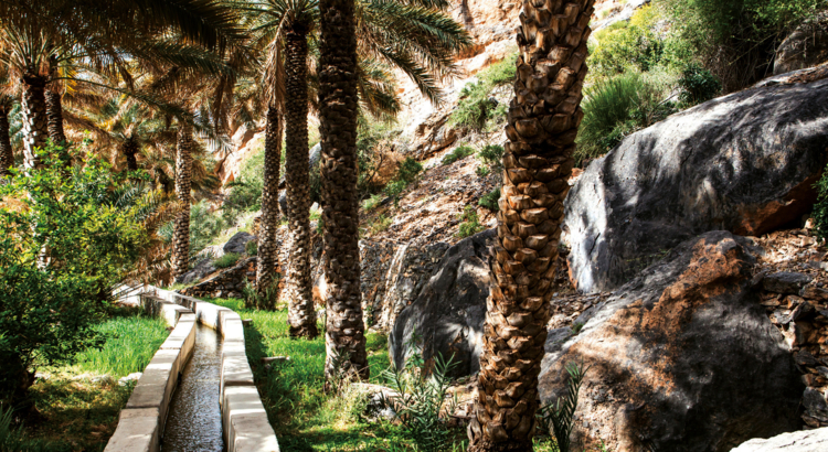 UNESCO World Heritage Site - Aflaj Irrigation Oman